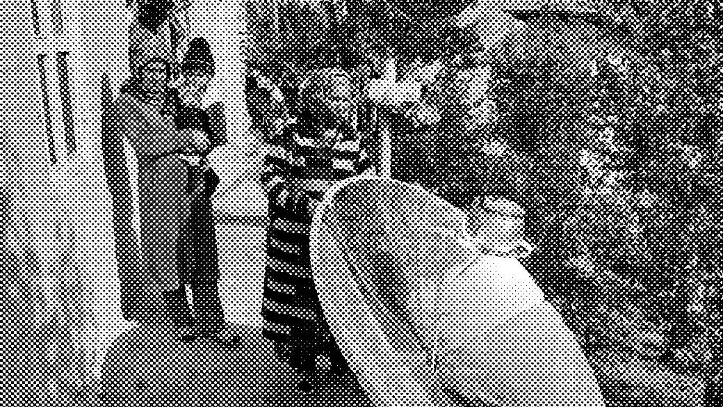 Women with a child stand near a large solar cooker outside, surrounded by greenery.