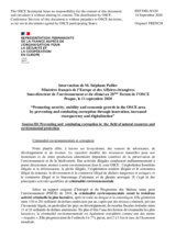 Statement by Mr. Stéphane Pailler, Head, Environment and Climate Department, Ministry for Europe and Foreign Affairs
