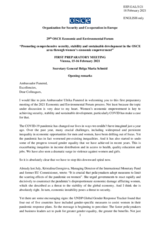 Opening remarks by H.E. Ms. Helga Maria Schmid