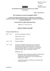 Проект повестки дня