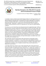 Statement by Courtney Austrian, Chargé d’Affaires, a.i. 