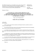 Statement by Amb. Christine Fages