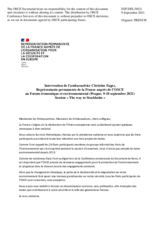 Statement by Amb. Christine Fages