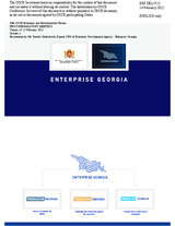 Presentation by Mr. Tornike Zirakishvili, Deputy CEO of Economic Development Agency - Enterprise