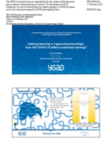 Presentation by Mr. Kari Puumalainen, Principal and Director at the Ylä-Savo Municipal Federation of Education