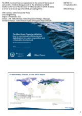 Presentation by Mr. Jaffer Machano, Global Programme Manager, Municipal Investment Finance