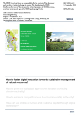 Presentation by Dr. Haris Piplas, Co-Directing Urban Design, Planning and Development 