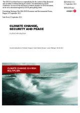 Presentation by Mr. Lukas Rüttinger, Senior Advisor