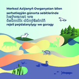 Merkezi Aziýanyň Owganystan bilen serhetleşýän günorta sebitlerinde haýwanat we ösümlik dünýäsiniň rejeli peýdalanylyşy we goragy