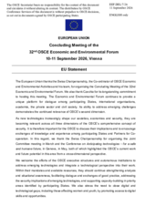 EU Statement