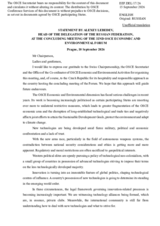 Statement by the Russian Federation